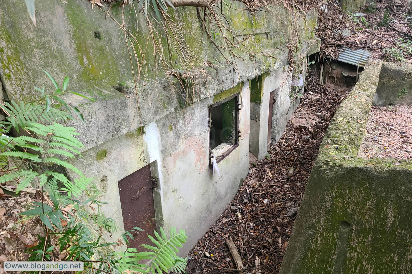 War Time Trail - WNC Gap Station 9 - West Brigade HQ Battle Scarred Bunkers